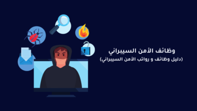وظائف الأمن السيبراني ورواتبها في العالم